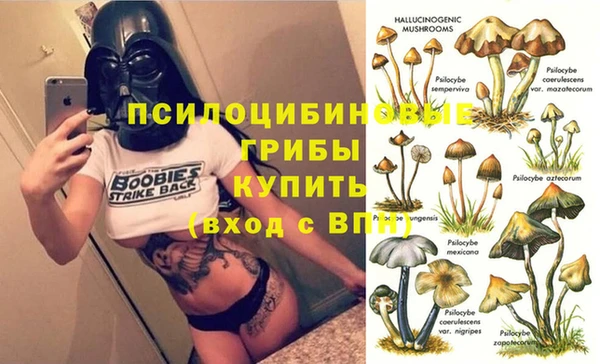 прущие крисы Армянск