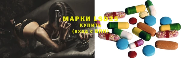 винт Аркадак