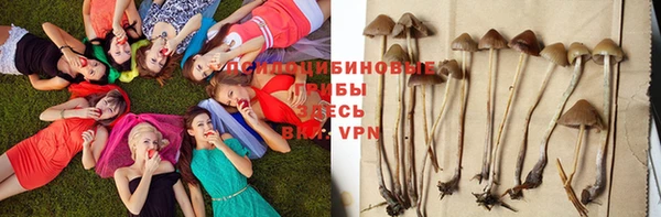 синтетический гашиш Арсеньев