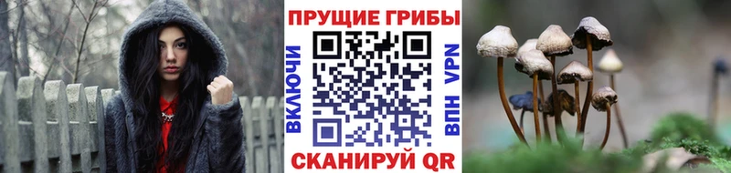 Псилоцибиновые грибы прущие грибы  это телеграм  Лысково 
